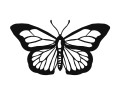 Dekoracja ścienna Motyl